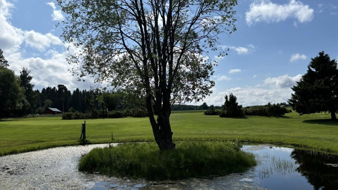 Golftjejer 2025